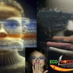 Una composición artística de la exposición Genoma Artístico que muestra un retrato original junto a reinterpretaciones digitales generadas por inteligencia artificial.