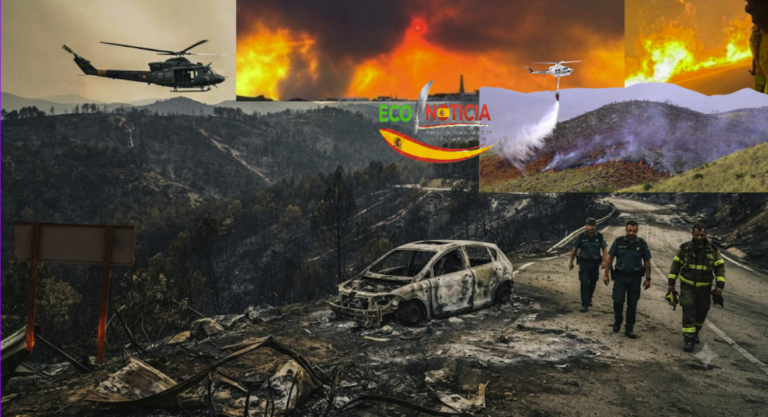 Tragedia en Almería: 12 muertos y 23 desaparecidos por incendios 8 Tragedia en Almería: equipos de rescate y bomberos combaten el devastador incendio forestal con 12 fallecidos y 23 desaparecidos.