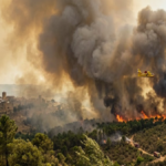 Incendio forestal en Niebla, Huelva, con humo provocado por el viento