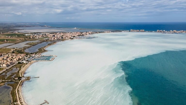Mancha blanca del Mar Menor que afecta a la diversidad de peces