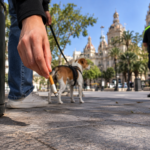 Policía Local de Valencia en una plaza con un perro durante el endurecimiento de las multas por tirar colillas y no recoger excrementos.